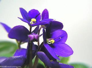 相权