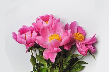 私殊