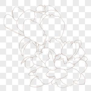 含虚