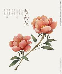 游谈