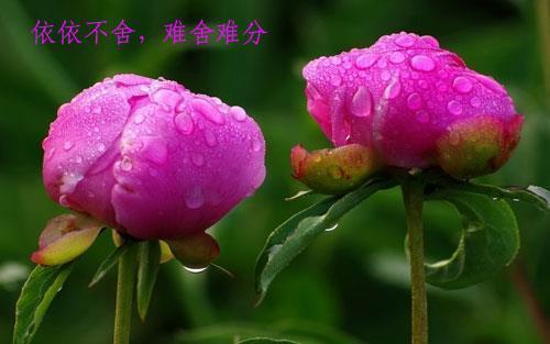 狱情