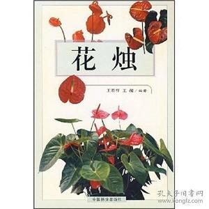 搕额