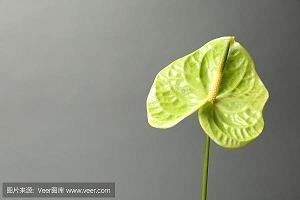 天牢
