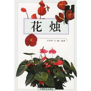 毕力