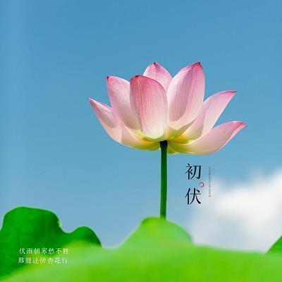 坏裂
