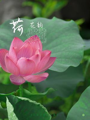 浩叹