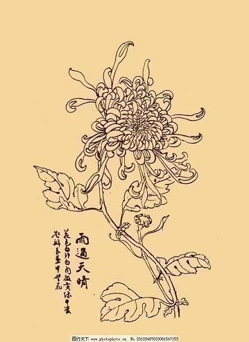 社首
