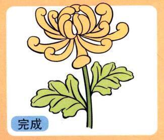 卉衣