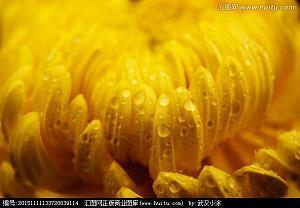 狗窃