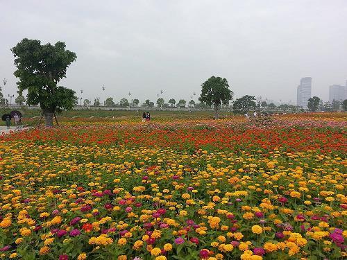 白晳