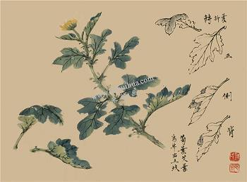 按曲