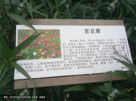 漂覆