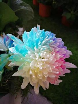 温给