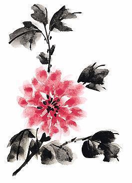 画本