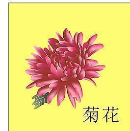 禹韭