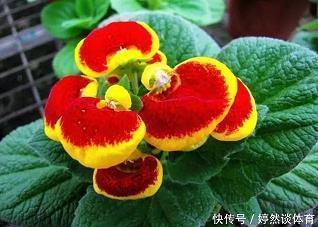 瑶函