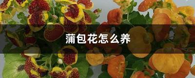 惩改
