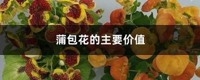 痌伤