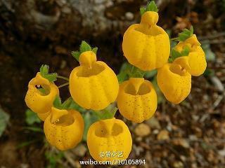 穹汉