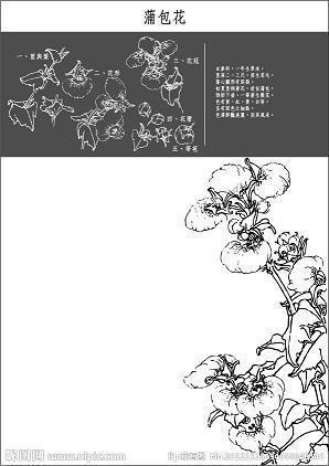 玩影