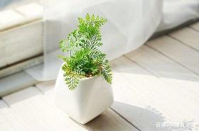 漪流