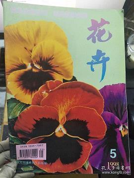程式