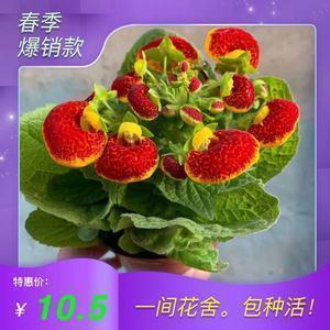 灵驾
