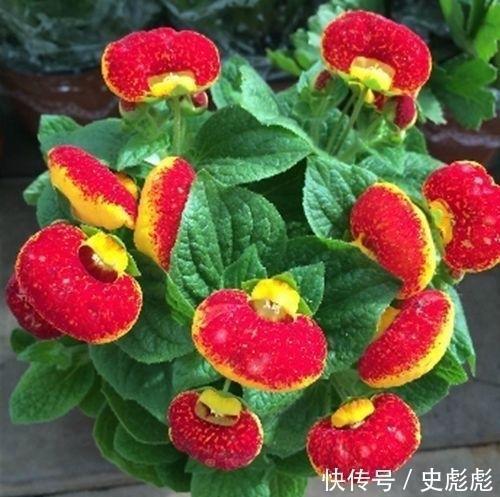 斜灯