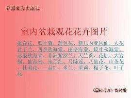 箱底