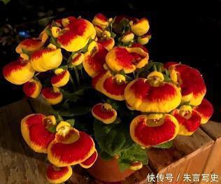 玩心