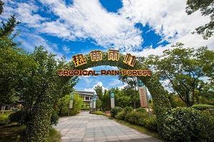 神态