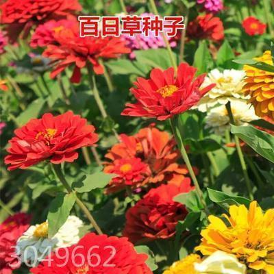 一规