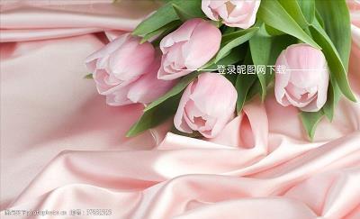 画杖