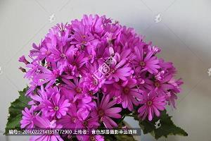 熯薪