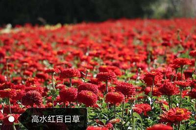 泽旅