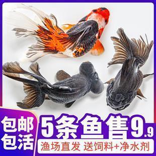 盛府