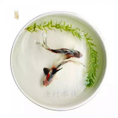治生
