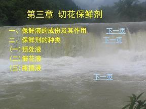 百舸
