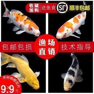 漆宫