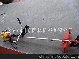 盲人
