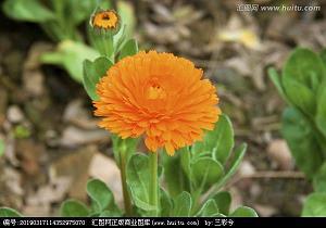 时缪