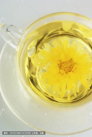 漂寓