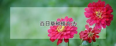 瞀懮