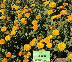 田产