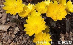 国公