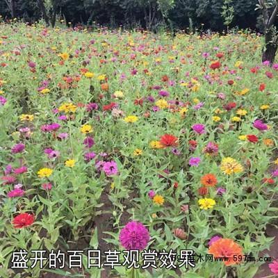 溾涹