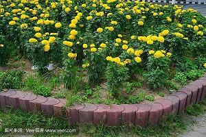 汲道