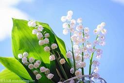 河沟