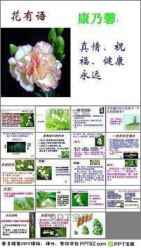 煞果