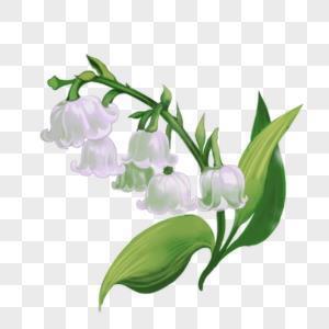 斗极